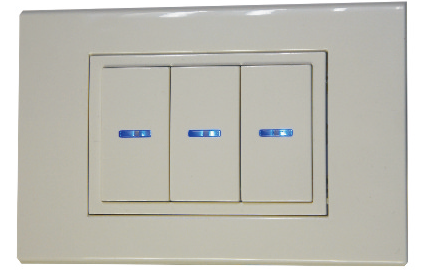 panel module